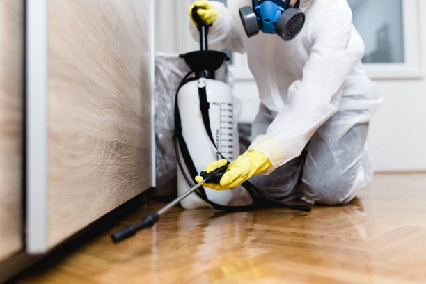 Best Pest Removal Services  in De Pue, IL