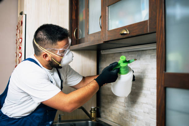 Best Local Pest Control Services  in De Pue, IL
