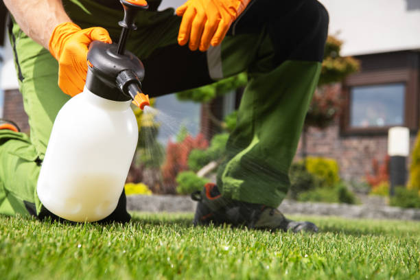 Best Emergency Pest Control  in De Pue, IL