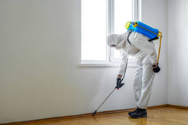 Trusted De Pue, IL Pest Control Experts