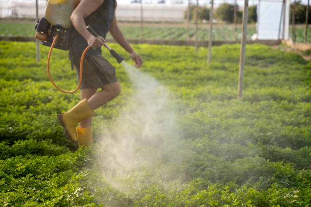 Best Commercial Pest Control Services  in De Pue, IL