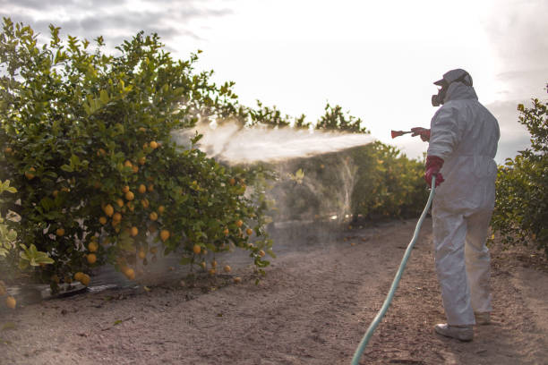 Wildlife Control Services in De Pue, IL