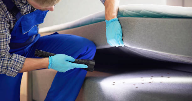 Best Pest Control Treatment  in De Pue, IL