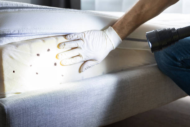 Best Best Pest Control Companies  in De Pue, IL