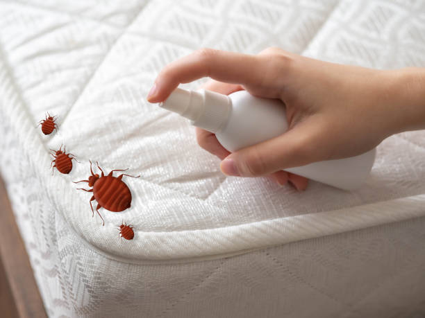 Best Flea Control Services  in De Pue, IL