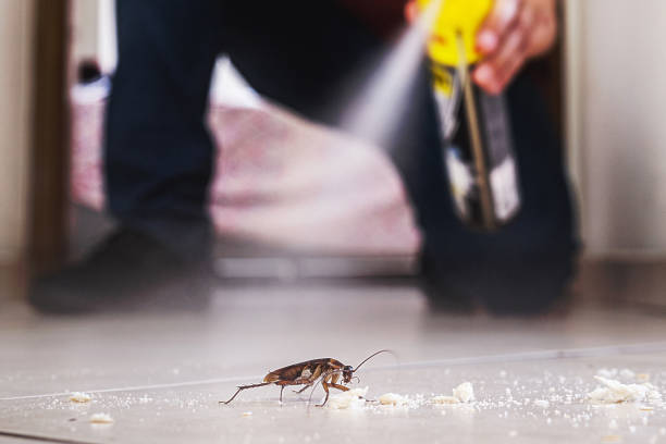 Best Cockroach Control Services  in De Pue, IL