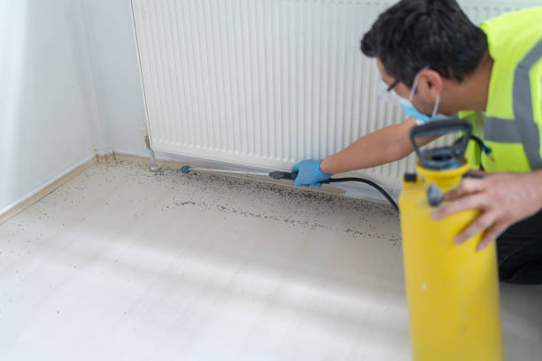 Best Pest Control Cost  in De Pue, IL