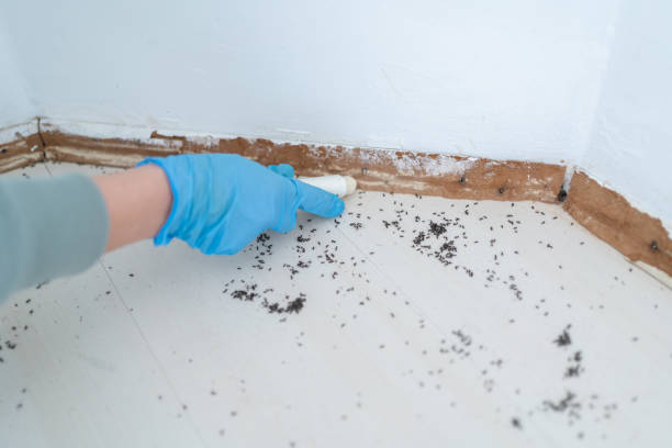 Best Best Pest Control Near Me  in De Pue, IL